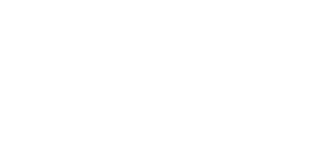 Logo salmar