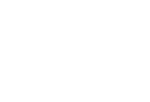 Novo nordisk logo white 600